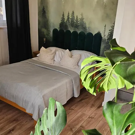 לינה וארוחת בוקר Na Pieterku